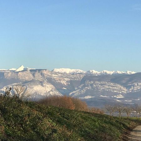 Gites&Chambres D Hotes Les Granges Du Fournel Saint-Lattier エクステリア 写真