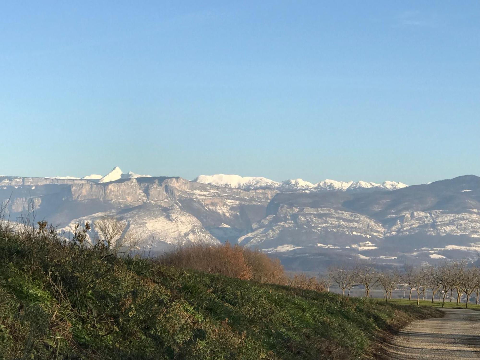 Gites&Chambres D Hotes Les Granges Du Fournel Saint-Lattier エクステリア 写真